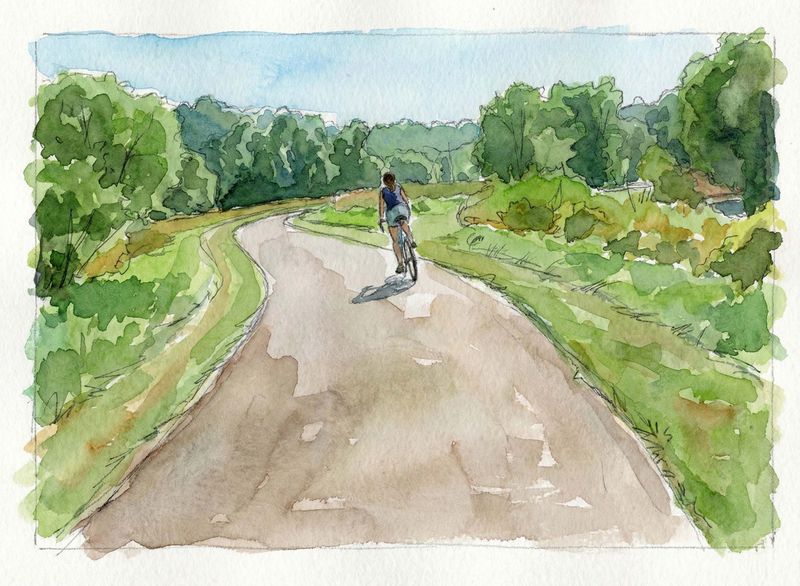 A watercolour of a cyclist on a paved trail through trees